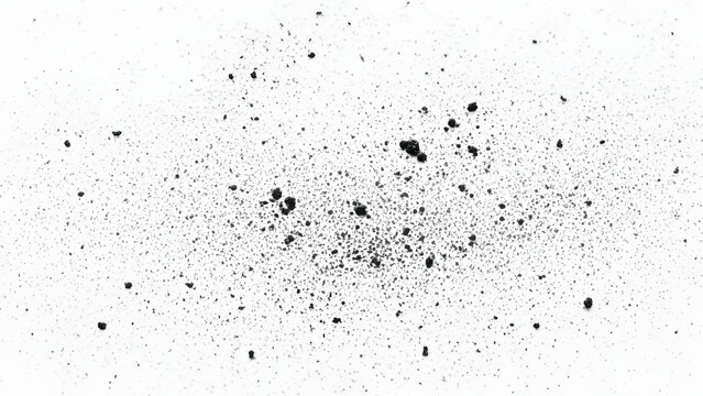 Scattered dark particles and dust specks on a white background, representing debris or fine granular material