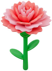 pink rose flower