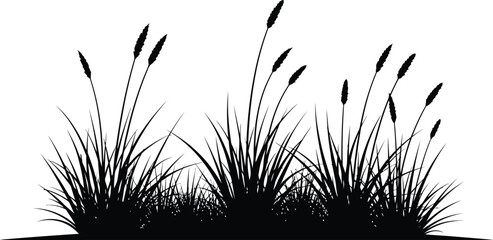 Black silhouette of cattails against white background © FARZANAAKTER