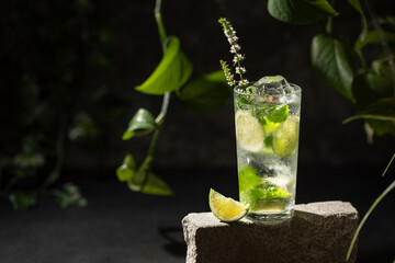 Mojito cocktail with lime and mint in highball glass on black background