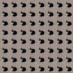 Black cat pattern 