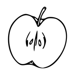minimalist apple cut in half doodle
