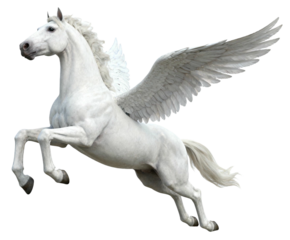 Flying Pegasus Horse with Wings in Mid-Leap