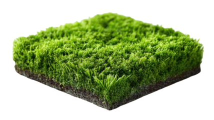 Patch of green, lush grass and dark soil, isolated on a black backdrop