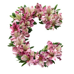 Top view of a 3D letter C made of fresh Alstroemeria flowers isolated on a white transparent background