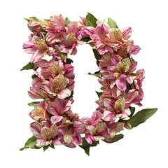 Top view of a 3D letter D made of fresh Alstroemeria flowers isolated on a white transparent background