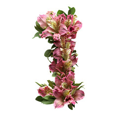Top view of a 3D letter I made of fresh Alstroemeria flowers isolated on a white transparent background