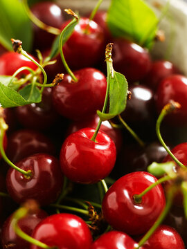 Fresh red cherry fruits with stems and leaves close up