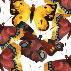 Peacock butterfly, Orange Sulfur or Colias eurytheme, Morning cloak or Nymphalis antiopa