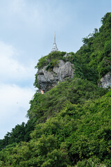mountain landscape with a tree