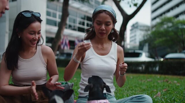 Asian friends playing and feeding dogs in a city park