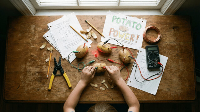 Top view of child working on potato battery science experiment project on wooden table