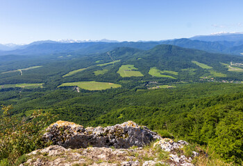 Horses grazing on a foothill plateau, covered spaces and clearings in the morning sun overlooking the mountains