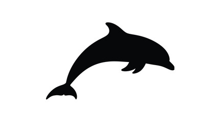 A leaping dolphin captured in a striking black and white silhouette
