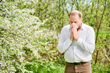 Man allergic suffering from seasonal allergy at spring in blossoming garden at springtime. Young man sneezing and blowing nose with nasal handkerchief in front of blooming tree. Spring allergy concept