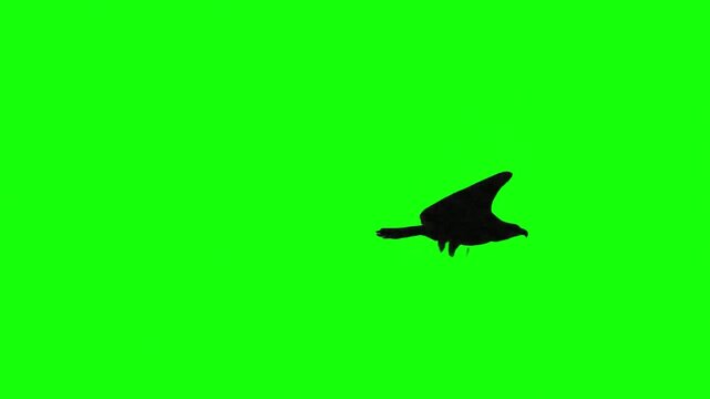 A stark black silhouette of a crow or raven is captured in flight, wings outstretched, against a bright green screen.