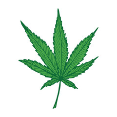 Hand drawn cannabis leaf Medicine marijuana Hemp leaves clipart in doodle style Single element for print, web, design, decor
