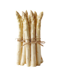 Bundle of white asparagus tied with twine, isolated on a black background