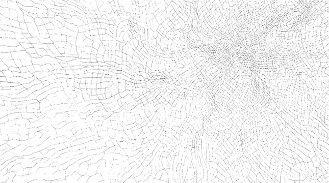 Organic cracked texture resembling dried mud or elephant skin with a web-like pattern of fine lines creating a natural abstract background