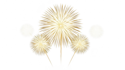 Celebration of new year with colorful fireworks display illuminating the night sky isolated on transparent background