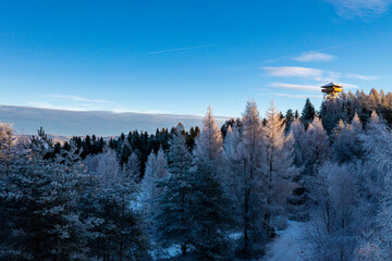 Góra Malnik, Beskid Sądecki, Muszyna. © Maciej G. Szling