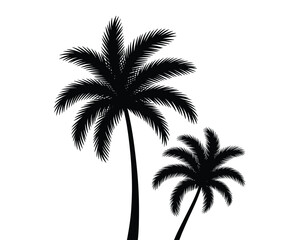 Obraz premium Tropical palm tree silhouettes in black and white minimalist design summer vacation paradise illustration for travel agency branding tourism advertisement tropical resort coastal lifestyle beach vacat