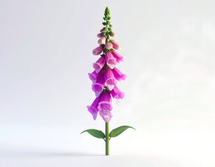 Obraz premium Vibrant digitalis bloom, upright with pink bell-shaped flowers