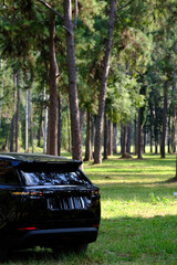 Modern Electric Vehicle Parked in Green Forest , Sustainable Transportation Electric SUV Outdoor