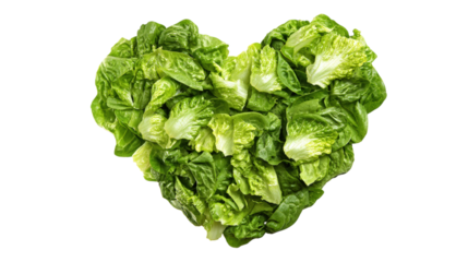 Fresh green lettuce heart shape isolated transparent background healthy diet