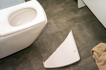 broken toilet seat cover