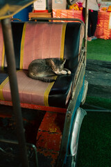 Sleeping cat resting on the back seat of a tuk-tuk, capturing a cozy moment of calm, comfort, and local daily life during urban transport.