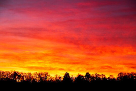 Colorful sunset sky over tree silhouettes in D�rrbachtal W�rzburg