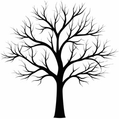 Obraz premium Bare tree silhouette against white background