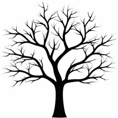 Obraz premium Bare tree silhouette on white background for design