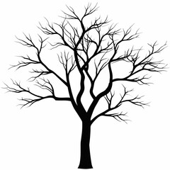 Obraz premium Bare tree silhouette against white background
