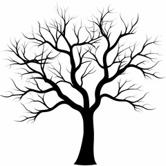 Obraz premium Bare tree silhouette against white background