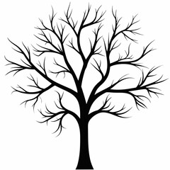 Obraz premium Bare tree silhouette on white background for design
