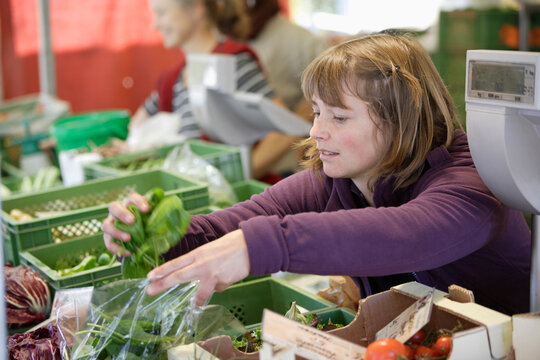 Farmer packaging organic vegetables at outdoor market in Wolfratshausen