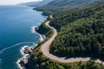 stunning aerial view of winding coastal road through dense forest beside turquoise ocean