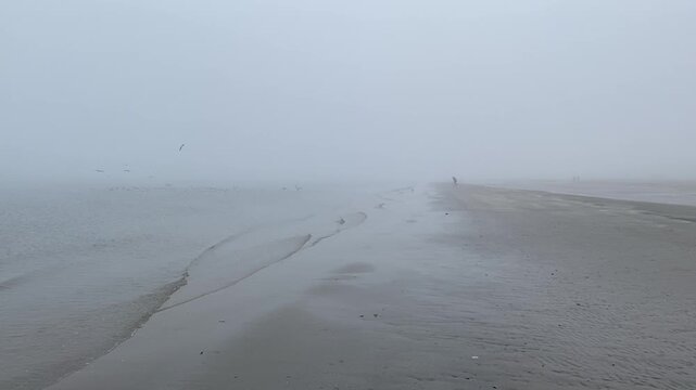 A solitary figure walking along the wet beach disappearing into the atmospheric sea fog in winter.