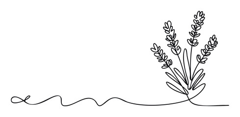 A simple elegant continuous line drawing showcasing a fragrant lavender plant, ideal for use in branding natural products, aromatherapy businesses, spa services, or tranquil wellness