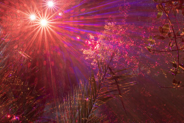 Festive abstract light background captured with long exposure. Shimmering beams, vibrant colors and glowing textures create a dreamy holiday mood for banners, posters and digital design.