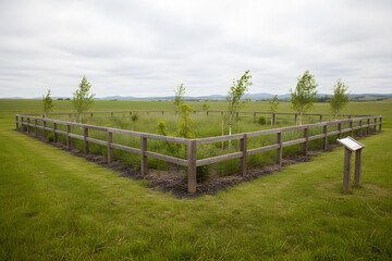 Fototapeta premium protected habitat zone in rural landscape for biodiversity and species recovery