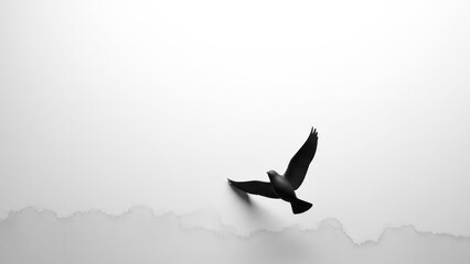 Silhouette of a Bird in Flight Black And White Minimalist Freedom. Concept featuring bird, silhouette, flight, black and white, minimalist.
