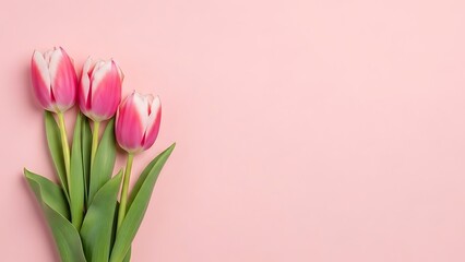 Obraz premium Happy valentine's day greeting with pink tulips on pastel background