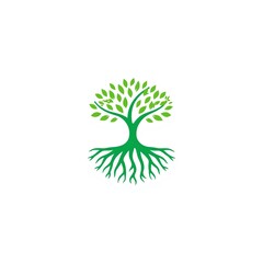 Obraz premium A green tree vector illustration featuring a fresh natural leaf design and eco growth concept for a forest environment icon or organic logo symbol