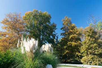 Sand and Sea in the Saints Constantine and Helena, Bulgaria