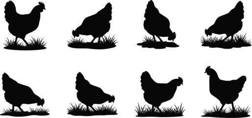 Black chicken silhouettes foraging in grass on transparent background © Jesmin