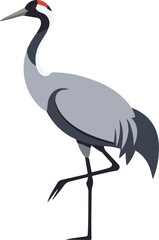 Fototapeta premium A grey crane with a red crest stands on one leg, its long neck curved