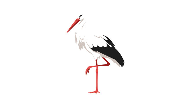 Elegant stork with white feathers and black wings stands gracefully on one long red leg against a white background in a minimalist style.